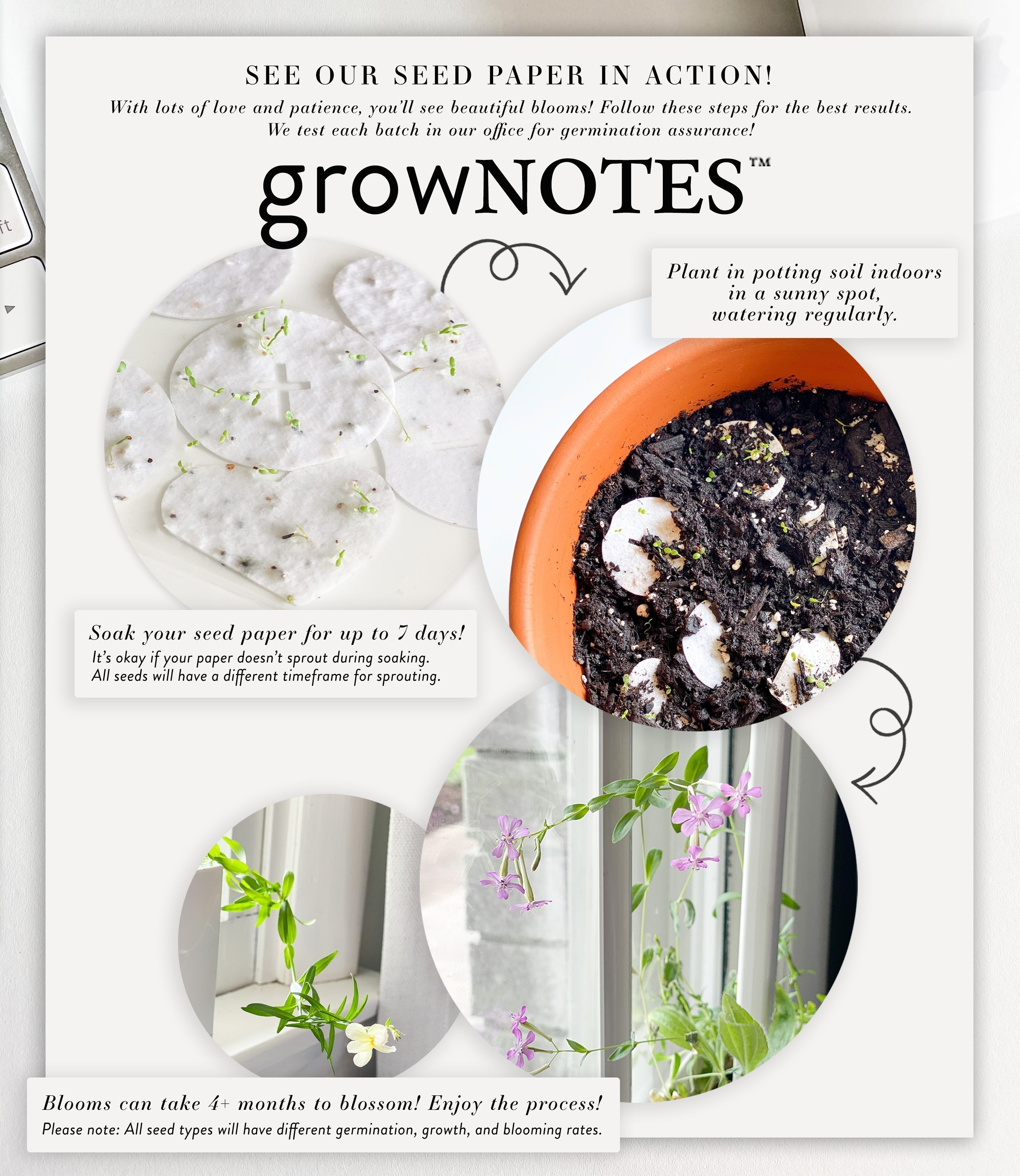 growNOTES™ Plantable Save the Dates - Poppies (10 Count Set)